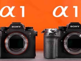 Sony A1 II Initial Review 5